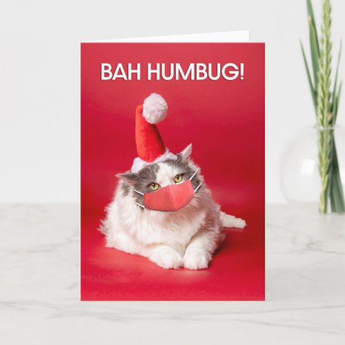 Merry Christmas Bah Humbug Cat in Face Mask Holiday Card