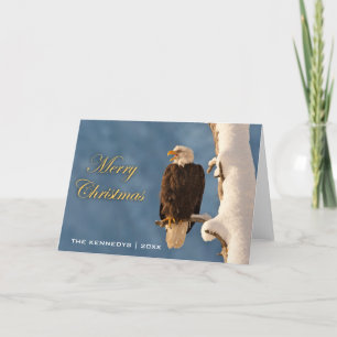 Merry Christmas - Bald Eagle Perching Holiday Card