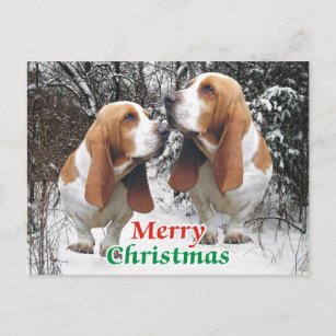 Basset Hound Christmas Cards | Zazzle - 100% Satisfaction Guaranteed!