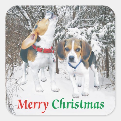 Merry Christmas Beagle Snowy Woods Stickers