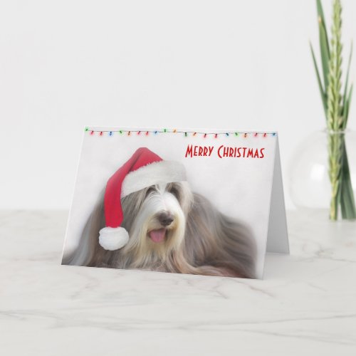 Merry Christmas Bearded Collie Holiday Card