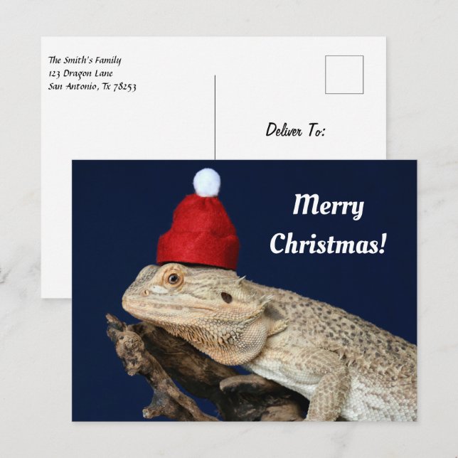 Merry Christmas Bearded Dragon in a Santa Hat Postcard (Front/Back)