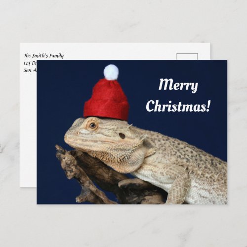 Merry Christmas Bearded Dragon in a Santa Hat Postcard