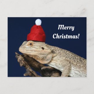 Merry Christmas Bearded Dragon in a Santa Hat