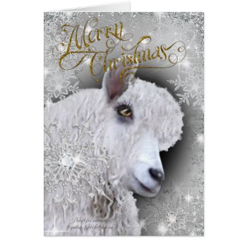 Merry Christmas Beautiful Angora Goat | BabyGirl Card 