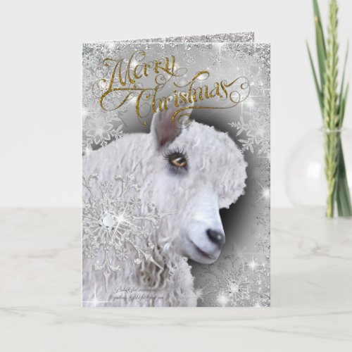 Merry Christmas Beautiful Angora Goat  BabyGirl Holiday Card