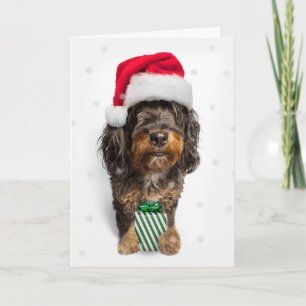 Merry Christmas Bernedoodle Dog in Santa Hat Holiday Card