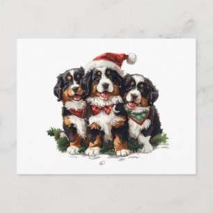 Merry Christmas Bernese Mountain Dogs Postcard