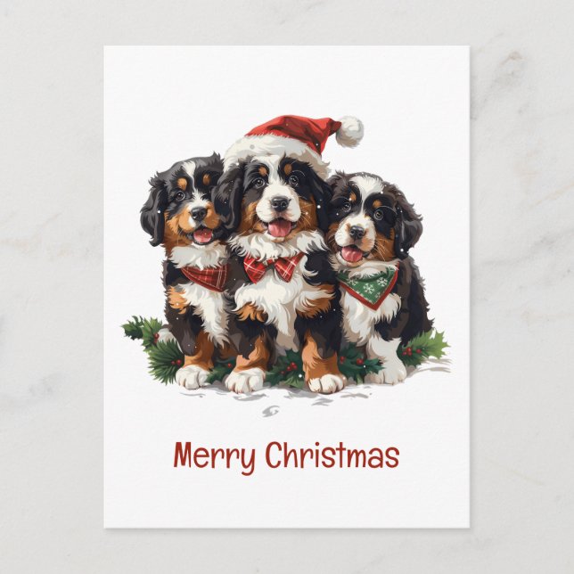 Merry Christmas Bernese Mountain Dogs Postcard (Front)