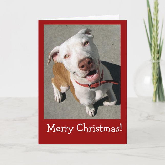 Merry Christmas Best Freind Holiday Card (Front)