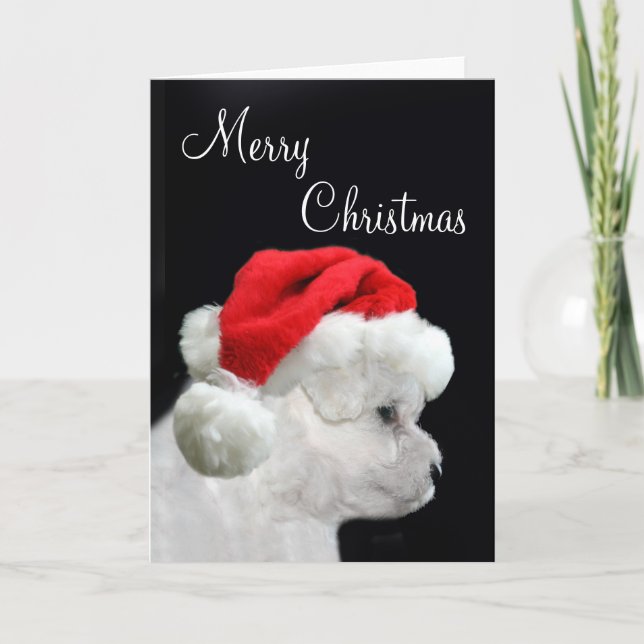 Merry Christmas Bichon Frise Holiday Card (Front)