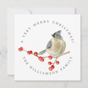 Merry Christmas Bird on Berries Sprig Holiday Card