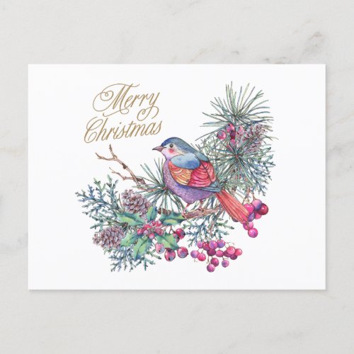 Merry Christmas Bird on Pine Branch Holiday Postcard