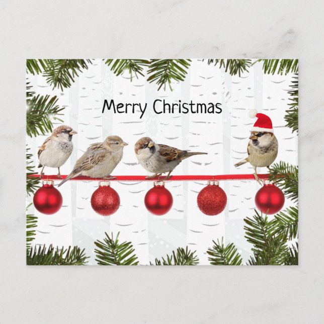 Merry Christmas Birds on a Limb Holiday Postcard (Front)
