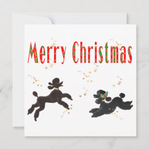 Merry Christmas Black & Chocolate Poodle Holiday Card