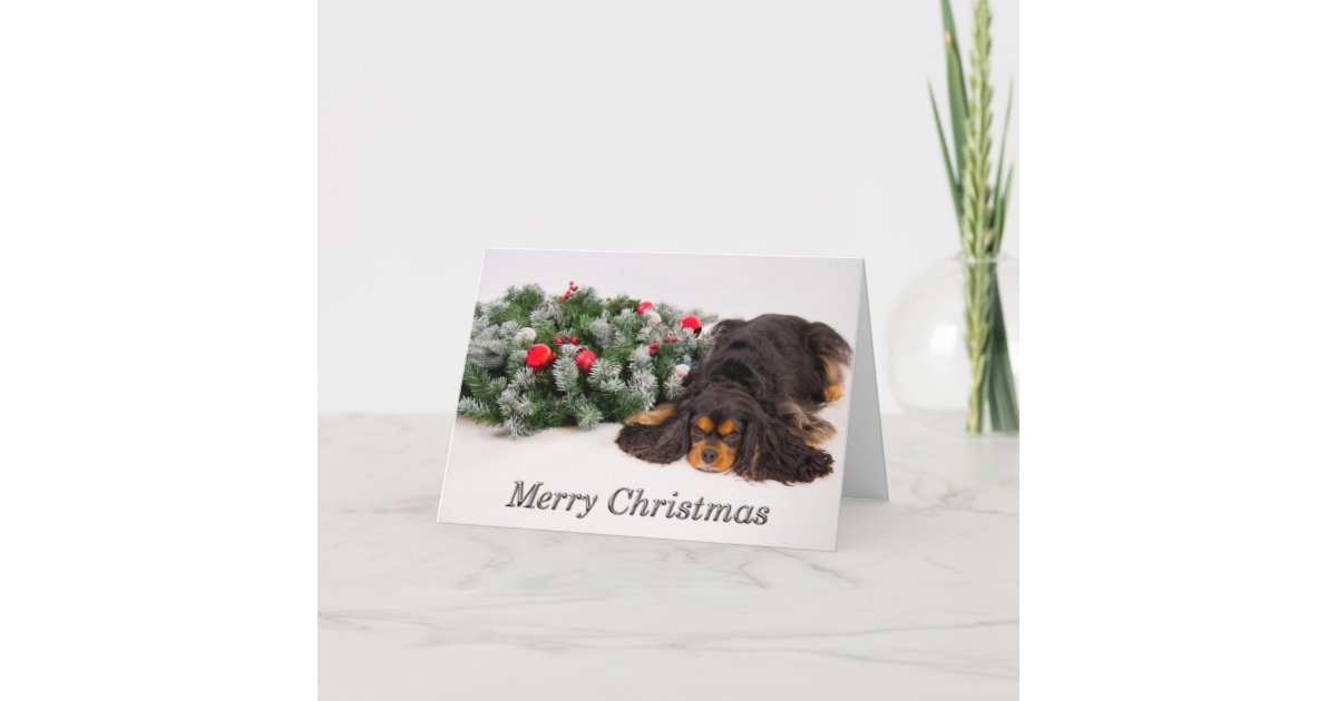 Merry Christmas Black & Tan King Charles Card Zazzle