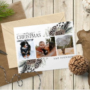Merry Christmas Black Winter Pinecone Botanical Ho Holiday Postcard
