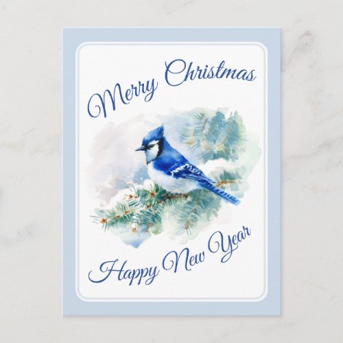 Merry Christmas Blue Jay Postcard