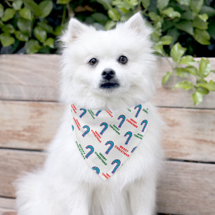 Merry Christmas Blue Pink Candy Canes Pet Bandana Collar