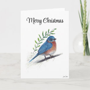Merry Christmas Bluebird Bird Holiday Card