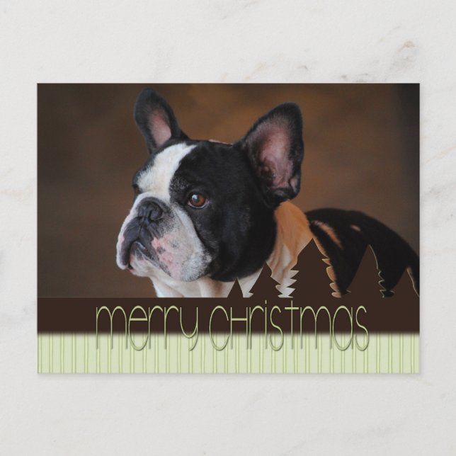 Merry Christmas Boston Terrier Dog Postcard (Front)