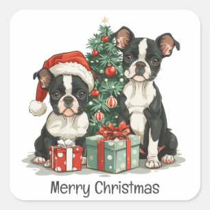 Merry Christmas Boston Terrier Dogs Square Sticker