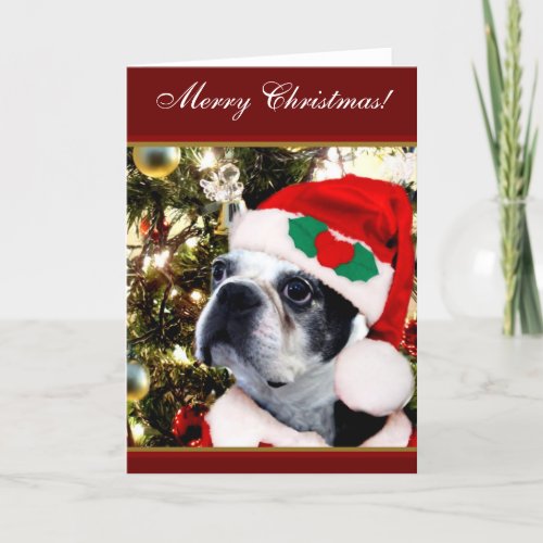 Merry Christmas Boston terrier Holiday Card