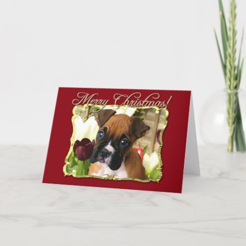 Merry Christmas Boxer dog greeting card