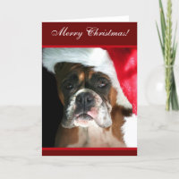 Merry Christmas Boxer Dog greeting Card