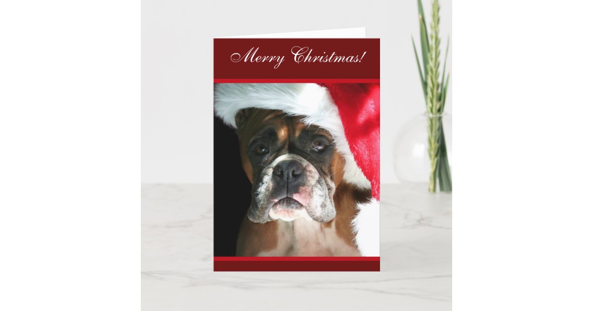 Merry Christmas Boxer Dog greeting Card | Zazzle