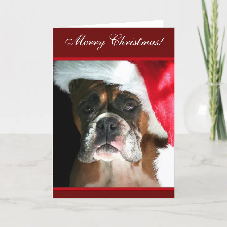 boxer dog christmas images