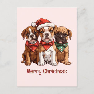 Merry Christmas Boxer Dogs Postcard