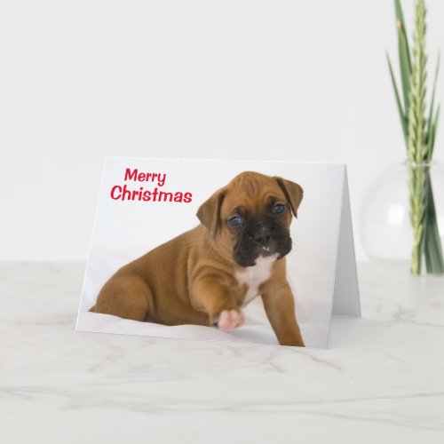 Merry Christmas Boxer Puppy Card