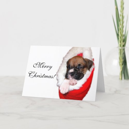 Merry Christmas boxer puppy greeting card