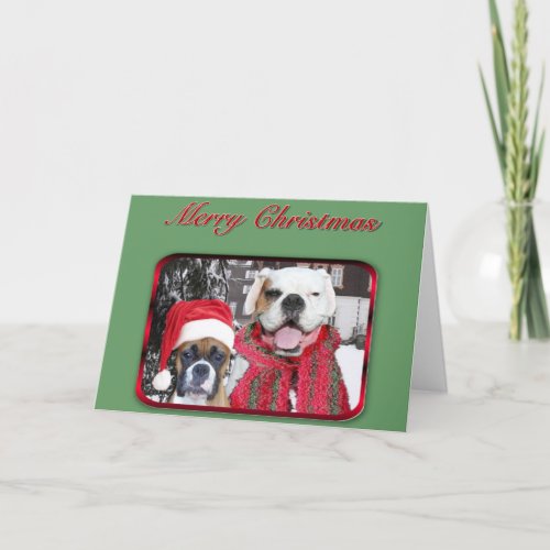 merry christmas boxers greeting card