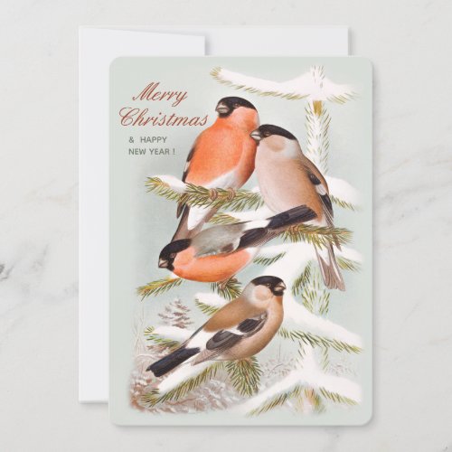 Merry Christmas Bullfinches snowy pine tree CC1058 Holiday Card