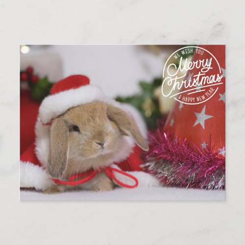 Merry Christmas Bunny in Santa Hat Holiday Postcard
