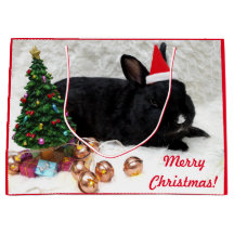 Merry Christmas Bunny Rabbit in a Santa Hat