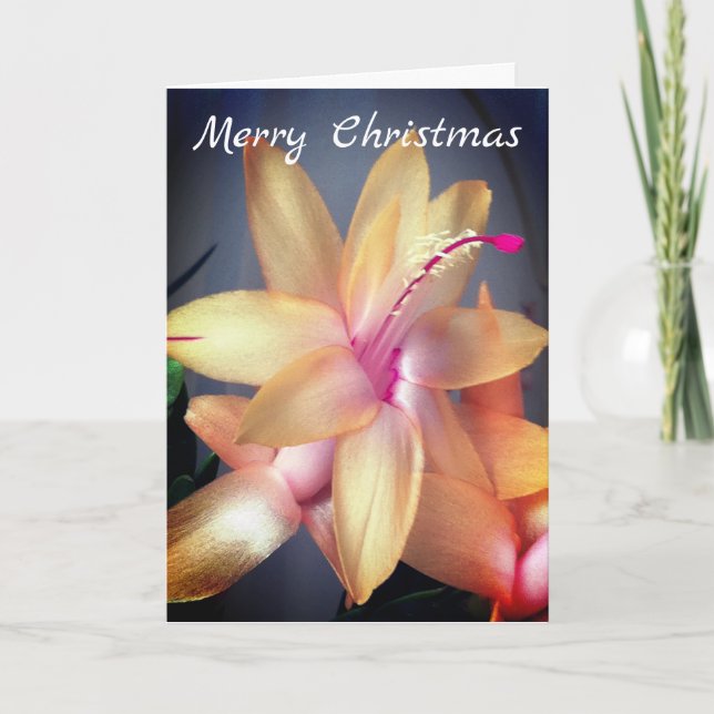 *~* Merry Christmas Cactus Flower Customize Holiday Card (Front)