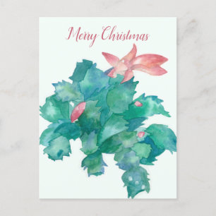 Merry Christmas Cactus Flowering Plant Holiday Postcard