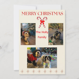 Merry Christmas Candy Cane and Twinkle Card