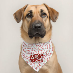 Merry Christmas Candy Cane Dog Bones Pet Bandana Collar
