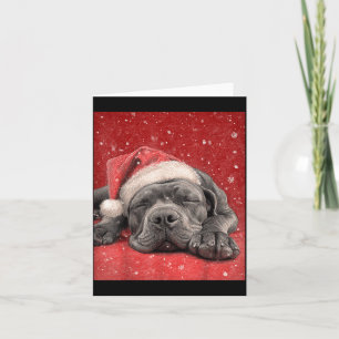 Merry Christmas Cane Corso Card