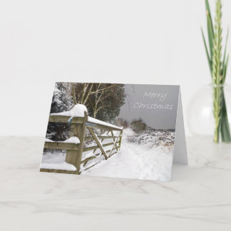 Merry Christmas Card