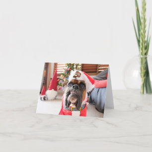 Merry Christmas. Card