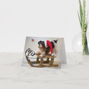 Merry Christmas.  Card