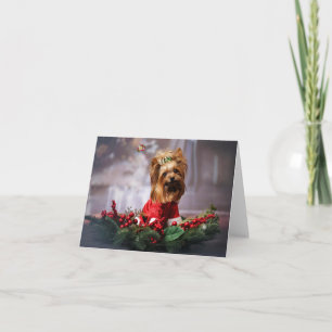 Merry Christmas. Card