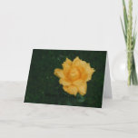 Merry Christmas(card) Holiday Card at Zazzle