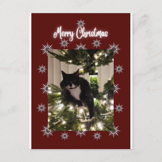 Merry Christmas card with Tuxedo cat on my tree. (Front)