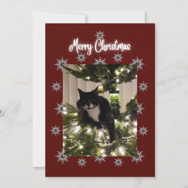 Merry Christmas card with Tuxedo cat on my tree. (Front)